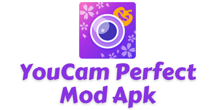 YouCam Perfect Premium Mod Apk v6.1 Download