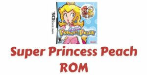 Super Princess Peach ROM Download | NDS